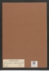 Rhabdonema crozierii Grun. (de-Toni-Nr.: Genus 95, Species 3064) Zeichnungen Sammlung Grunow Mappe 03296 (Herbarium_W_Grunow_drawings_Folder_03296)